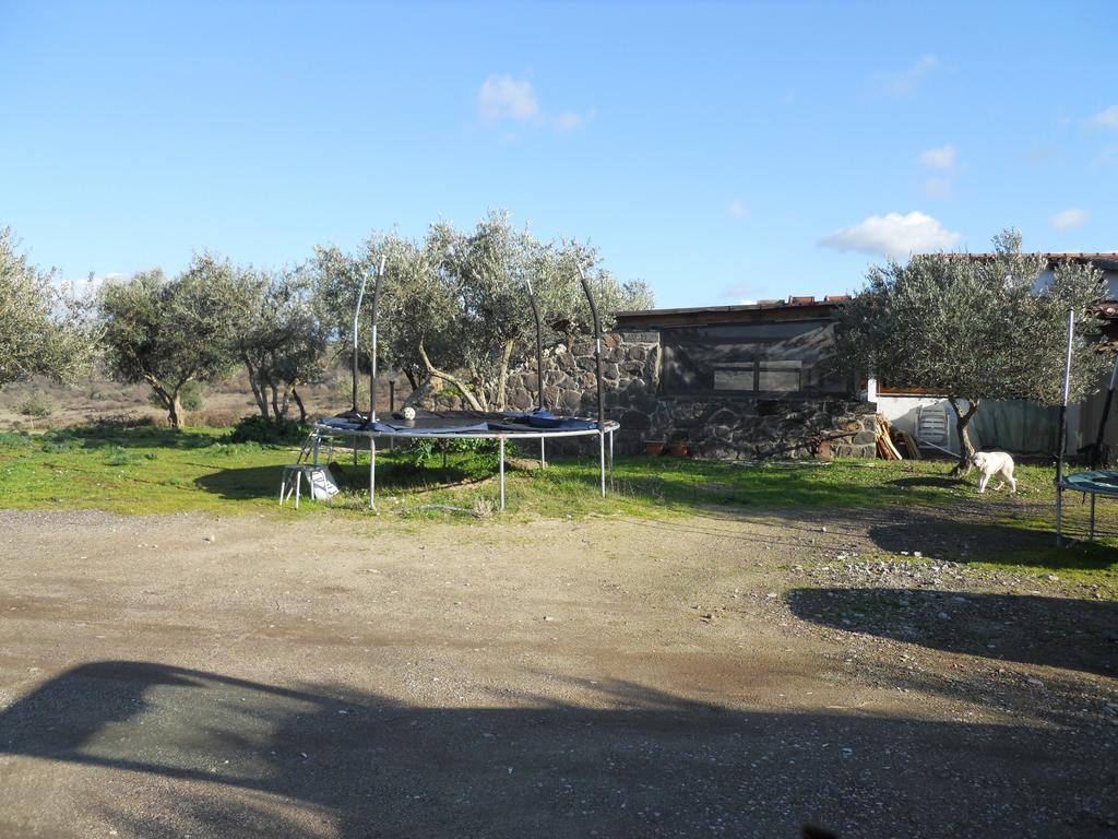 Agriturismo Su Nuratolu Villa Sagama Esterno foto